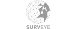 SURVEYE